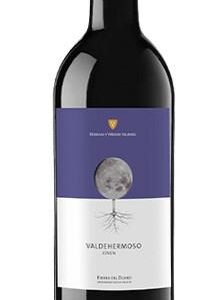 valdehermoso-joven